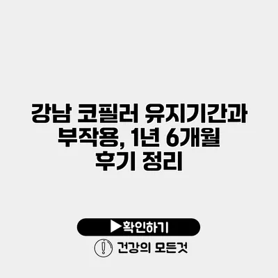 강남 코필러 유지기간과 부작용, 1년 6개월 후기 정리