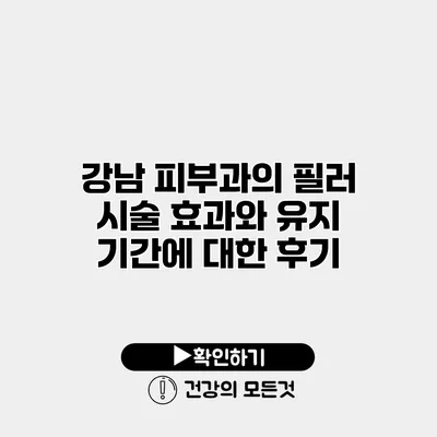 강남 피부과의 필러 시술 효과와 유지 기간에 대한 후기