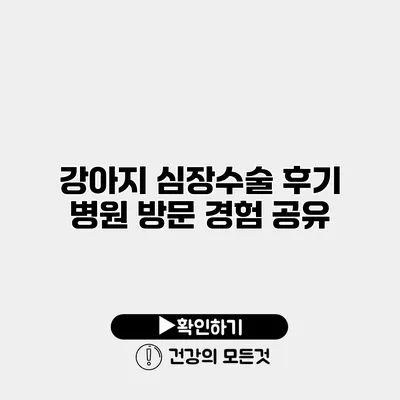 강아지 심장수술 후기 병원 방문 경험 공유