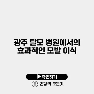광주 탈모 병원에서의 효과적인 모발 이식