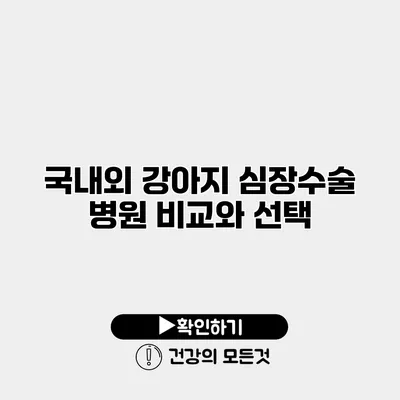 국내외 강아지 심장수술 병원 비교와 선택