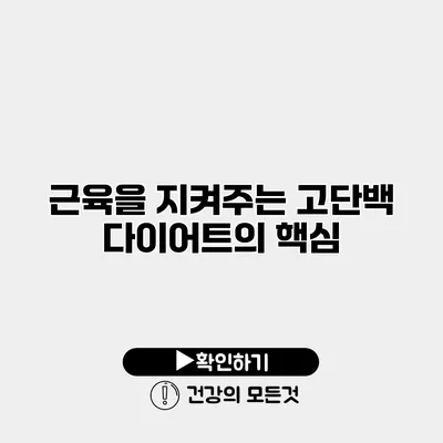 근육을 지켜주는 고단백 다이어트의 핵심