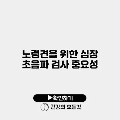노령견을 위한 심장 초음파 검사 중요성