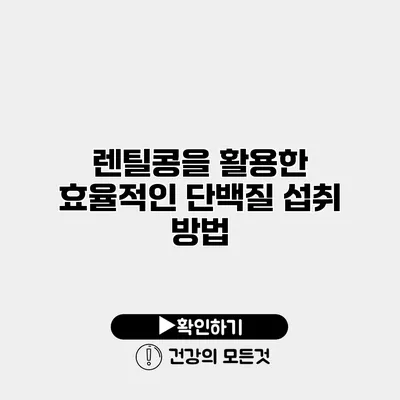 렌틸콩을 활용한 효율적인 단백질 섭취 방법