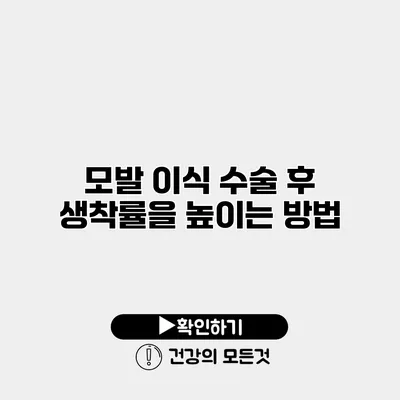 모발 이식 수술 후 생착률을 높이는 방법
