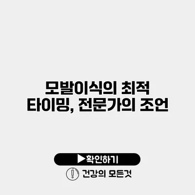 모발이식의 최적 타이밍, 전문가의 조언