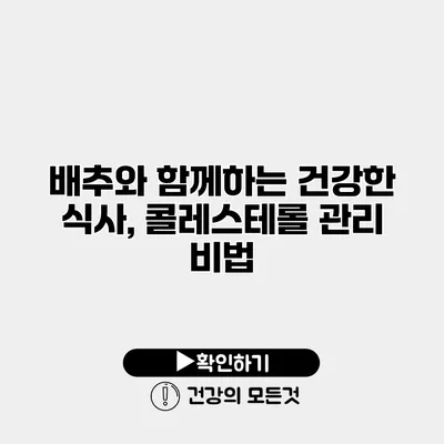 배추와 함께하는 건강한 식사, 콜레스테롤 관리 비법