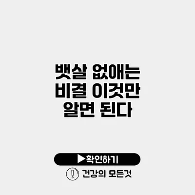 뱃살 없애는 비결 이것만 알면 된다