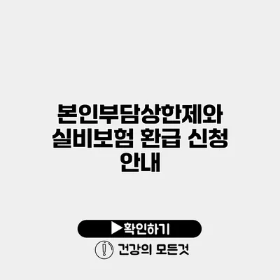 본인부담상한제와 실비보험 환급 신청 안내