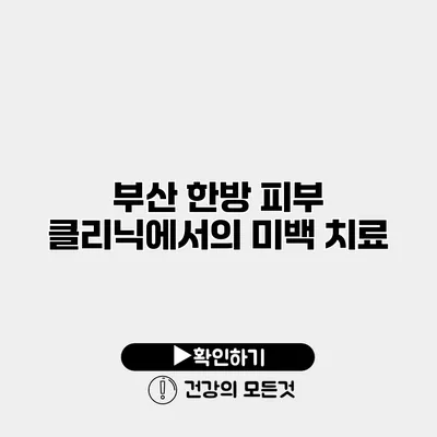 부산 한방 피부 클리닉에서의 미백 치료