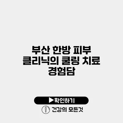 부산 한방 피부 클리닉의 쿨링 치료 경험담