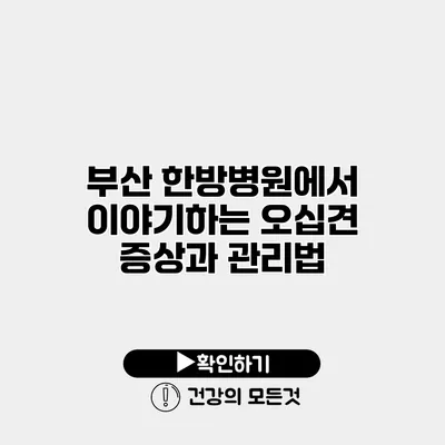 부산 한방병원에서 이야기하는 오십견 증상과 관리법