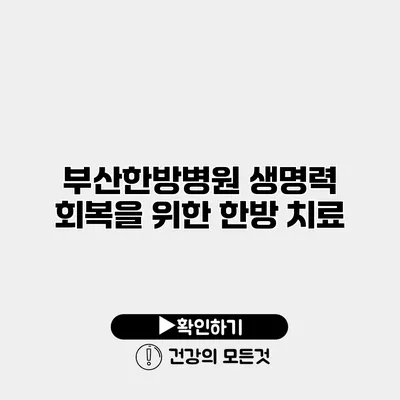 부산한방병원 생명력 회복을 위한 한방 치료