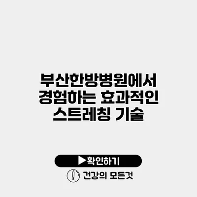 부산한방병원에서 경험하는 효과적인 스트레칭 기술