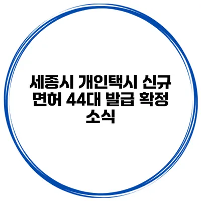 세종시 개인택시 신규 면허 44대 발급 확정 소식