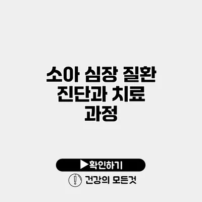소아 심장 질환 진단과 치료 과정