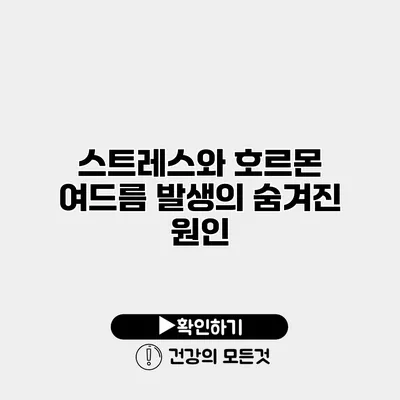 스트레스와 호르몬 여드름 발생의 숨겨진 원인