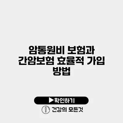 암통원비 보험과 간암보험 효율적 가입 방법