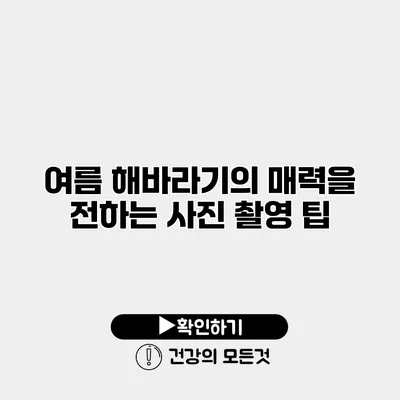 여름 해바라기의 매력을 전하는 사진 촬영 팁