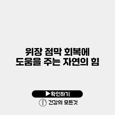 위장 점막 회복에 도움을 주는 자연의 힘