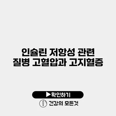 인슐린 저항성 관련 질병 고혈압과 고지혈증