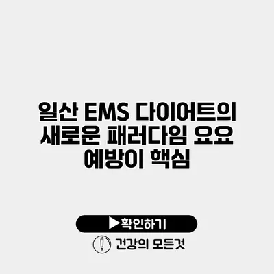 일산 EMS 다이어트의 새로운 패러다임 요요 예방이 핵심