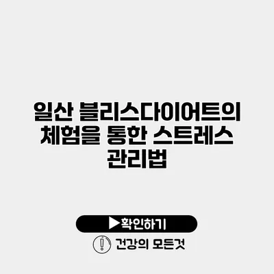 일산 블리스다이어트의 체험을 통한 스트레스 관리법