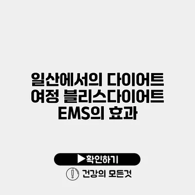 일산에서의 다이어트 여정 블리스다이어트 EMS의 효과