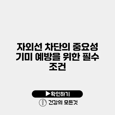 자외선 차단의 중요성 기미 예방을 위한 필수 조건