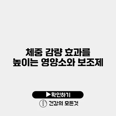 체중 감량 효과를 높이는 영양소와 보조제