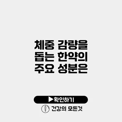 체중 감량을 돕는 한약의 주요 성분은?