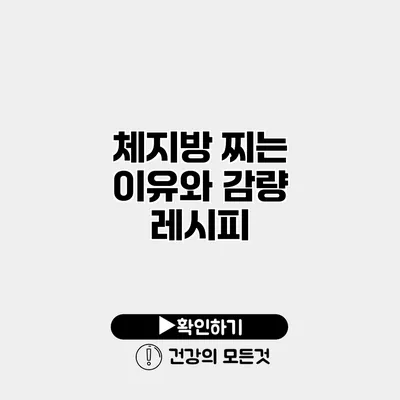 체지방 찌는 이유와 감량 레시피