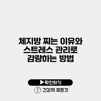 체지방 찌는 이유와 스트레스 관리로 감량하는 방법