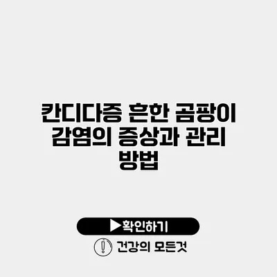 칸디다증 흔한 곰팡이 감염의 증상과 관리 방법
