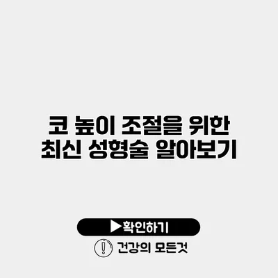 코 높이 조절을 위한 최신 성형술 알아보기