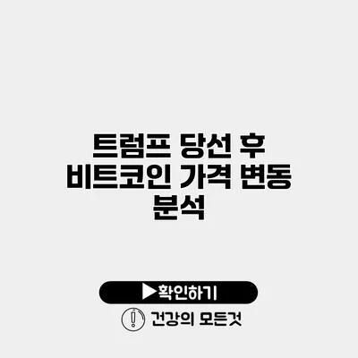트럼프 당선 후 비트코인 가격 변동 분석