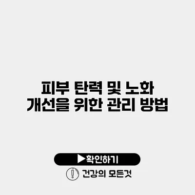 피부 탄력 및 노화 개선을 위한 관리 방법