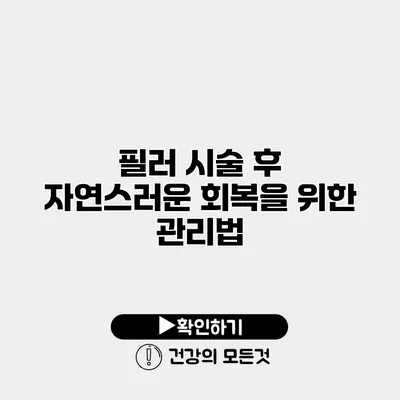 필러 시술 후 자연스러운 회복을 위한 관리법