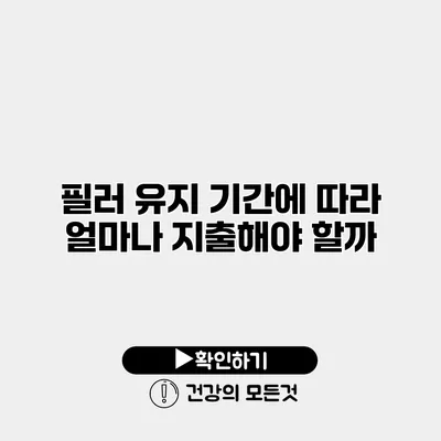필러 유지 기간에 따라 얼마나 지출해야 할까?