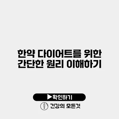 한약 다이어트를 위한 간단한 원리 이해하기
