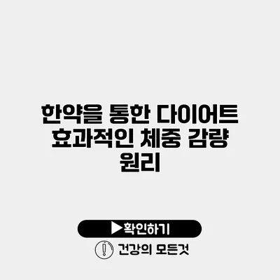 한약을 통한 다이어트 효과적인 체중 감량 원리