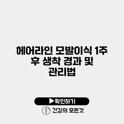 헤어라인 모발이식 1주 후 생착 경과 및 관리법