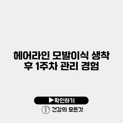 헤어라인 모발이식 생착 후 1주차 관리 경험