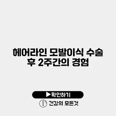 헤어라인 모발이식 수술 후 2주간의 경험