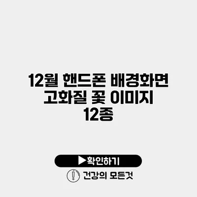 12월 핸드폰 배경화면 고화질 꽃 이미지 12종