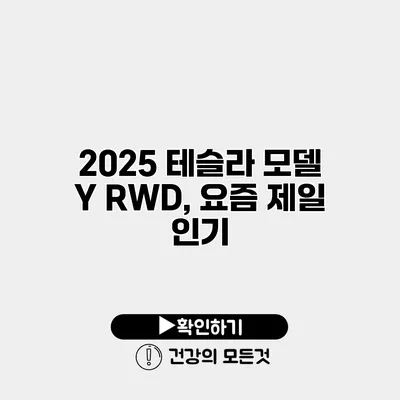 2025 테슬라 모델 Y RWD, 요즘 제일 인기