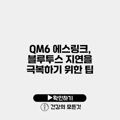 QM6 에스링크, 블루투스 지연을 극복하기 위한 팁