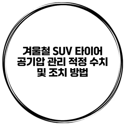 겨울철 SUV 타이어 공기압 관리: 적정 수치 및 조치 방법
