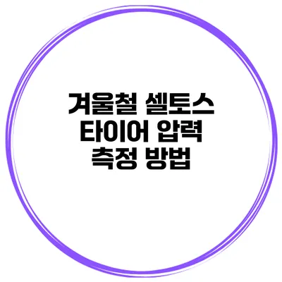 겨울철 셀토스 타이어 압력 측정 방법