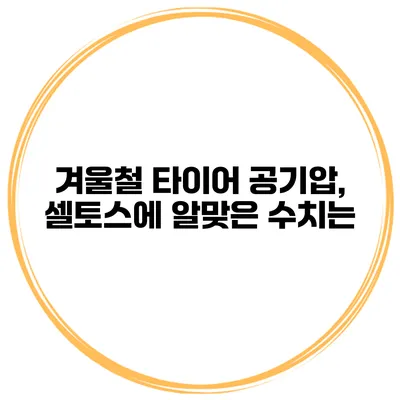 겨울철 타이어 공기압, 셀토스에 알맞은 수치는?